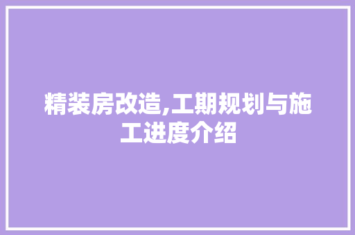 精装房改造,工期规划与施工进度介绍
