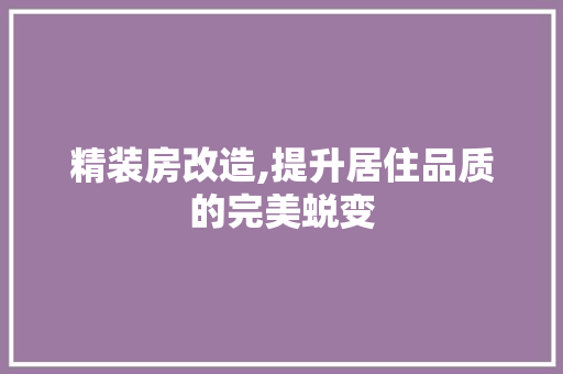 精装房改造,提升居住品质的完美蜕变