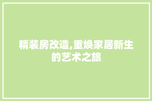 精装房改造,重焕家居新生的艺术之旅