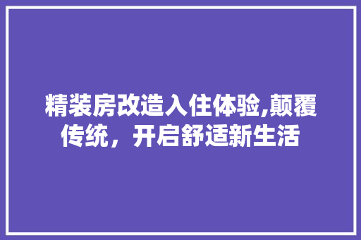精装房改造入住体验,颠覆传统，开启舒适新生活
