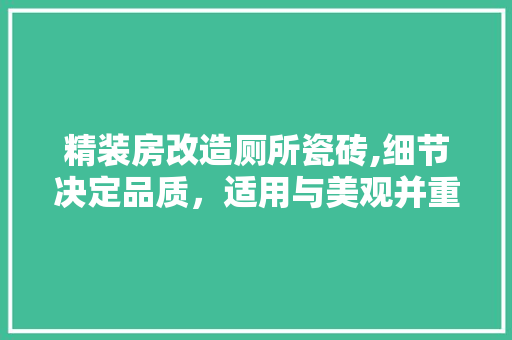 精装房改造厕所瓷砖,细节决定品质，适用与美观并重
