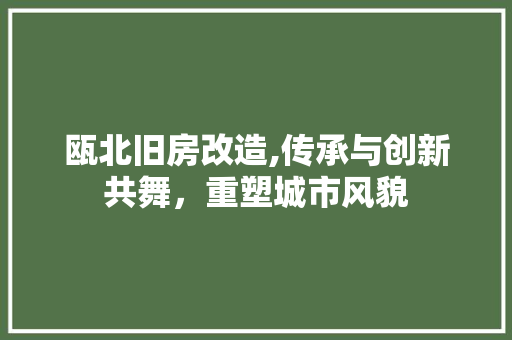瓯北旧房改造,传承与创新共舞，重塑城市风貌