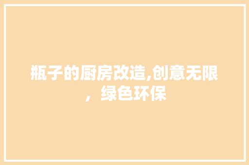 瓶子的厨房改造,创意无限，绿色环保