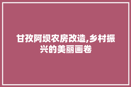 甘孜阿坝农房改造,乡村振兴的美丽画卷