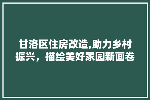 甘洛区住房改造,助力乡村振兴，描绘美好家园新画卷