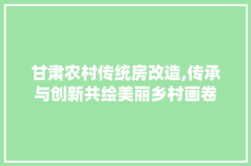甘肃农村传统房改造,传承与创新共绘美丽乡村画卷
