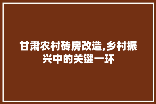甘肃农村砖房改造,乡村振兴中的关键一环