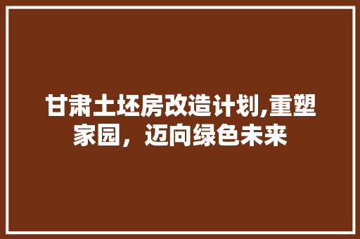 甘肃土坯房改造计划,重塑家园，迈向绿色未来