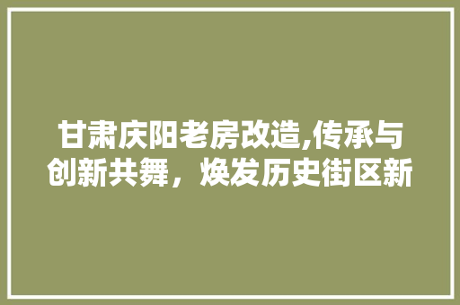 甘肃庆阳老房改造,传承与创新共舞，焕发历史街区新活力