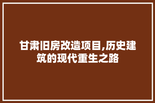 甘肃旧房改造项目,历史建筑的现代重生之路