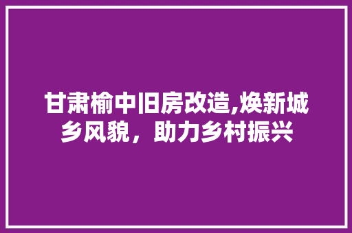 甘肃榆中旧房改造,焕新城乡风貌，助力乡村振兴 厨房维修