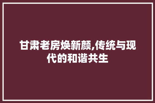 甘肃老房焕新颜,传统与现代的和谐共生