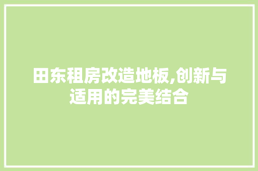 田东租房改造地板,创新与适用的完美结合