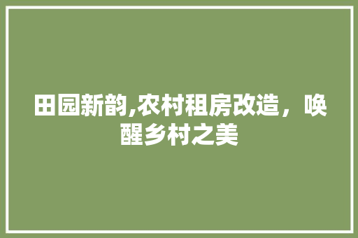 田园新韵,农村租房改造，唤醒乡村之美