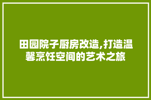田园院子厨房改造,打造温馨烹饪空间的艺术之旅