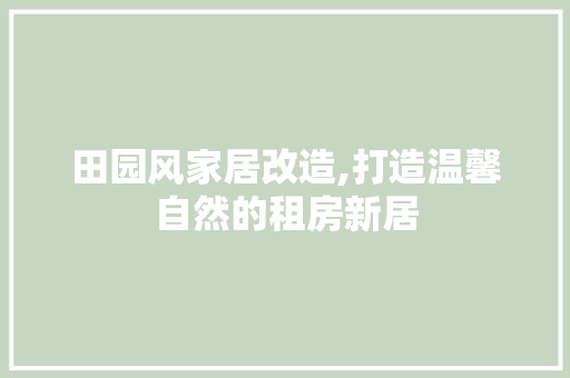 田园风家居改造,打造温馨自然的租房新居