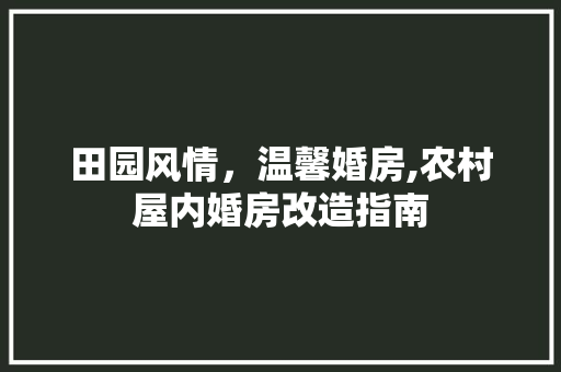 田园风情，温馨婚房,农村屋内婚房改造指南 厨房维修