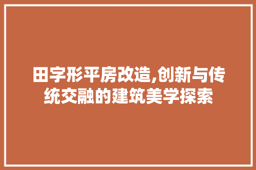 田字形平房改造,创新与传统交融的建筑美学探索