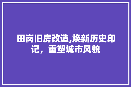 田岗旧房改造,焕新历史印记，重塑城市风貌