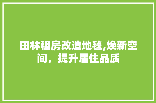 田林租房改造地毯,焕新空间，提升居住品质