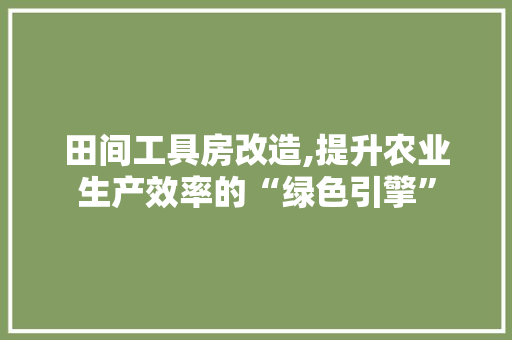 田间工具房改造,提升农业生产效率的“绿色引擎”