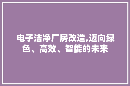 电子洁净厂房改造,迈向绿色、高效、智能的未来