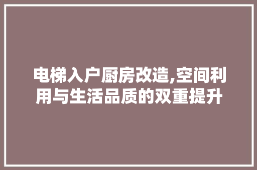 电梯入户厨房改造,空间利用与生活品质的双重提升