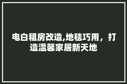 电白租房改造,地毯巧用，打造温馨家居新天地