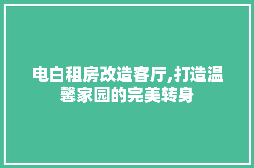 电白租房改造客厅,打造温馨家园的完美转身