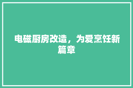 电磁厨房改造，为爱烹饪新篇章
