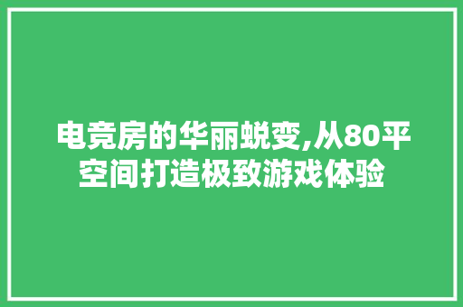 电竞房的华丽蜕变,从80平空间打造极致游戏体验