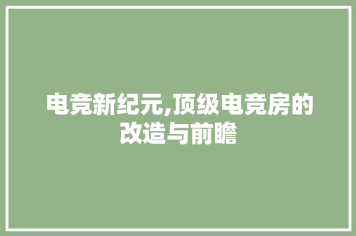 电竞新纪元,顶级电竞房的改造与前瞻