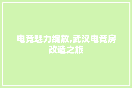 电竞魅力绽放,武汉电竞房改造之旅