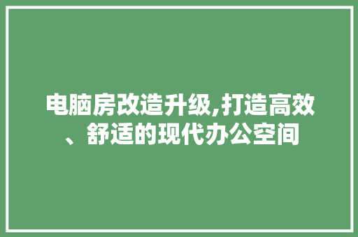 电脑房改造升级,打造高效、舒适的现代办公空间