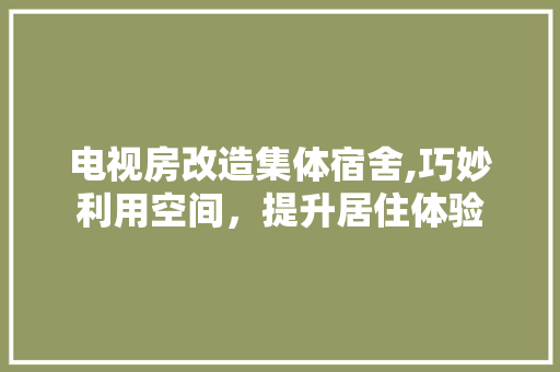 电视房改造集体宿舍,巧妙利用空间，提升居住体验