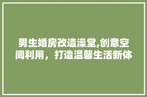 男生婚房改造澡堂,创意空间利用，打造温馨生活新体验 家电维修