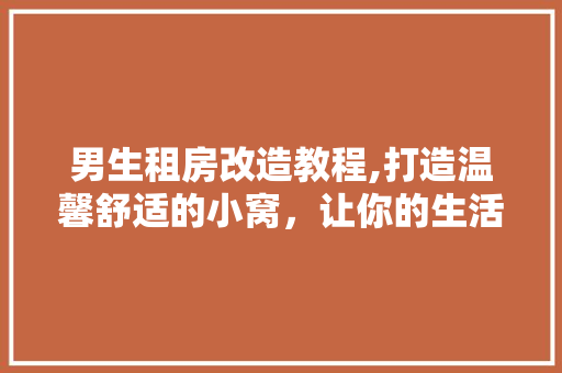 男生租房改造教程,打造温馨舒适的小窝，让你的生活焕然一新