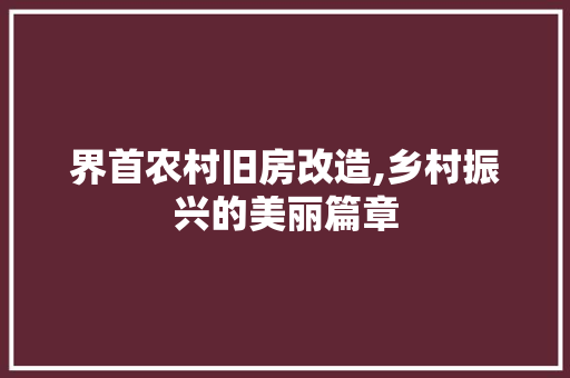 界首农村旧房改造,乡村振兴的美丽篇章
