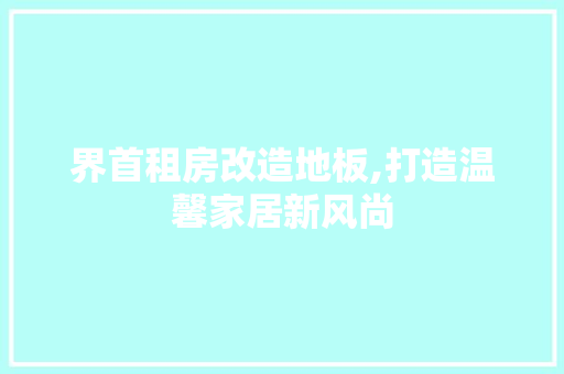 界首租房改造地板,打造温馨家居新风尚