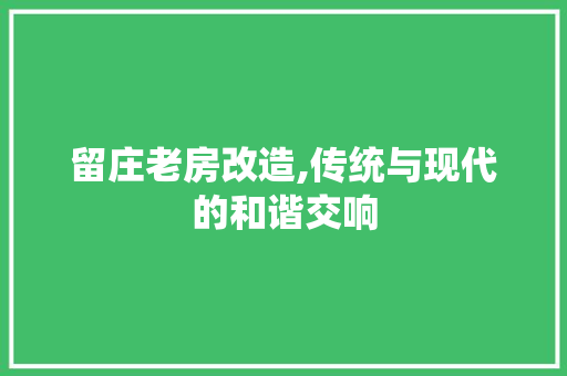 留庄老房改造,传统与现代的和谐交响