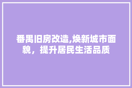 番禺旧房改造,焕新城市面貌，提升居民生活品质