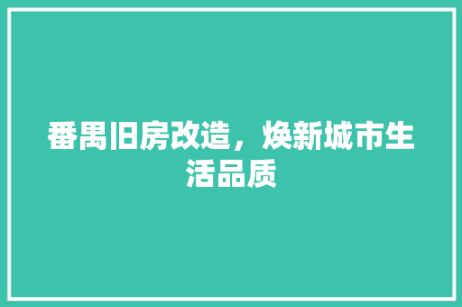 番禺旧房改造，焕新城市生活品质