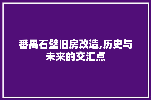 番禺石壁旧房改造,历史与未来的交汇点