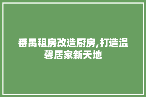 番禺租房改造厨房,打造温馨居家新天地