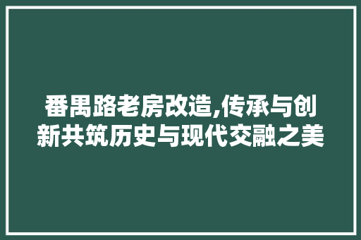 番禺路老房改造,传承与创新共筑历史与现代交融之美