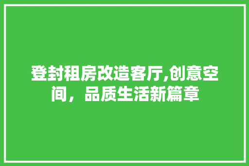 登封租房改造客厅,创意空间，品质生活新篇章