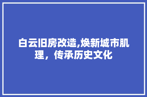 白云旧房改造,焕新城市肌理，传承历史文化