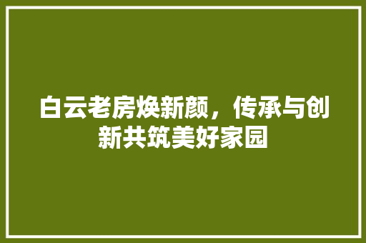 白云老房焕新颜，传承与创新共筑美好家园