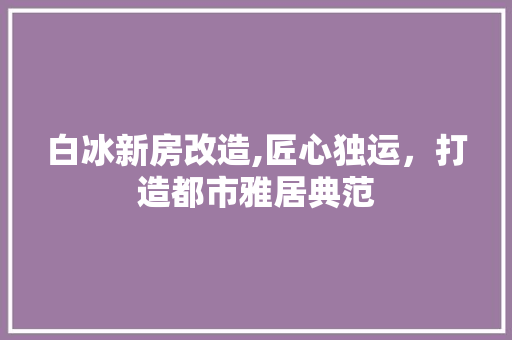 白冰新房改造,匠心独运，打造都市雅居典范