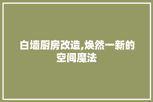 白墙厨房改造,焕然一新的空间魔法